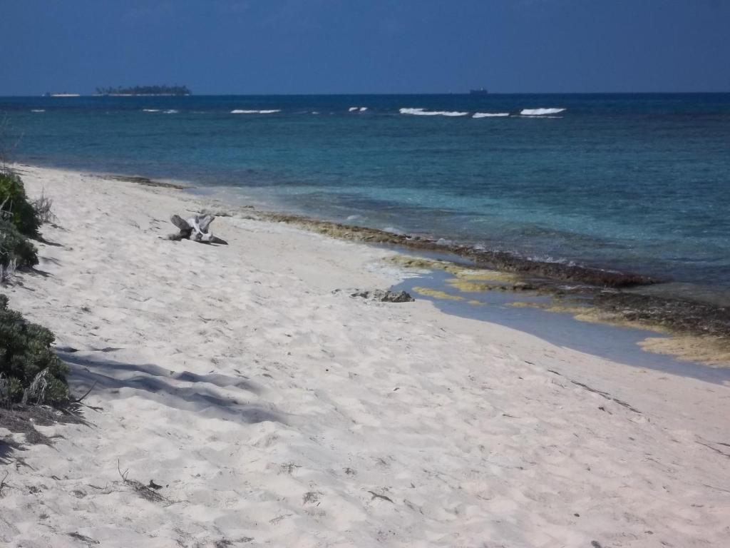 Sandy'S Place San Andrés Exterior photo